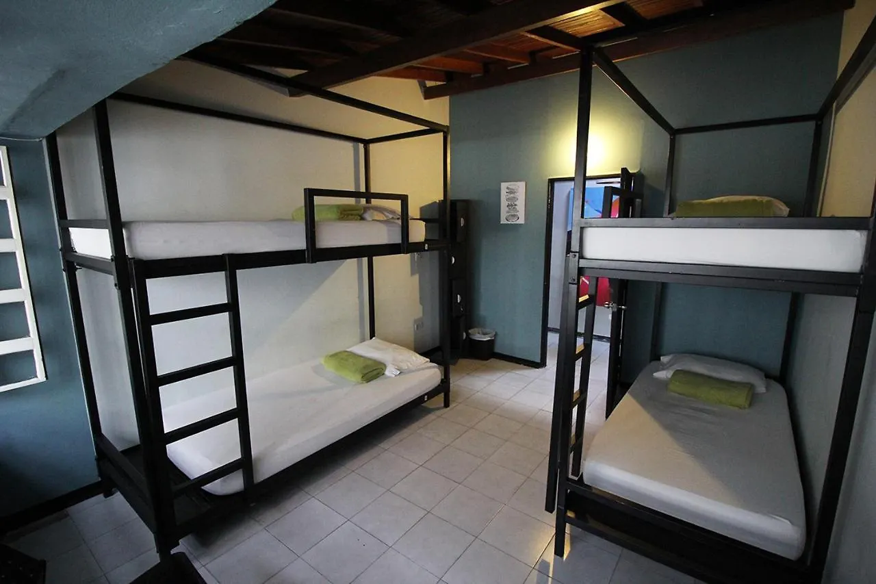 ميديلين Coolto Art Lodge كولومبيا