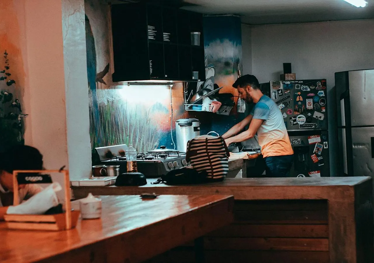 ميديلين Coolto Art Lodge كولومبيا