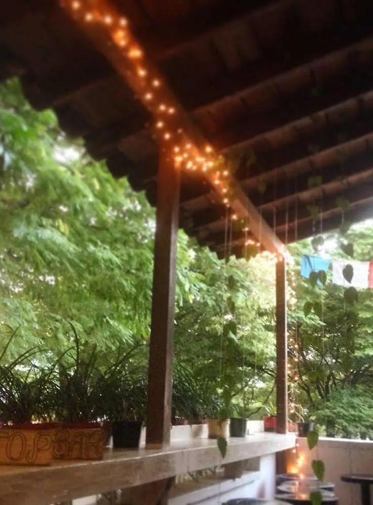 Coolto Art Lodge 麦德林 0*,