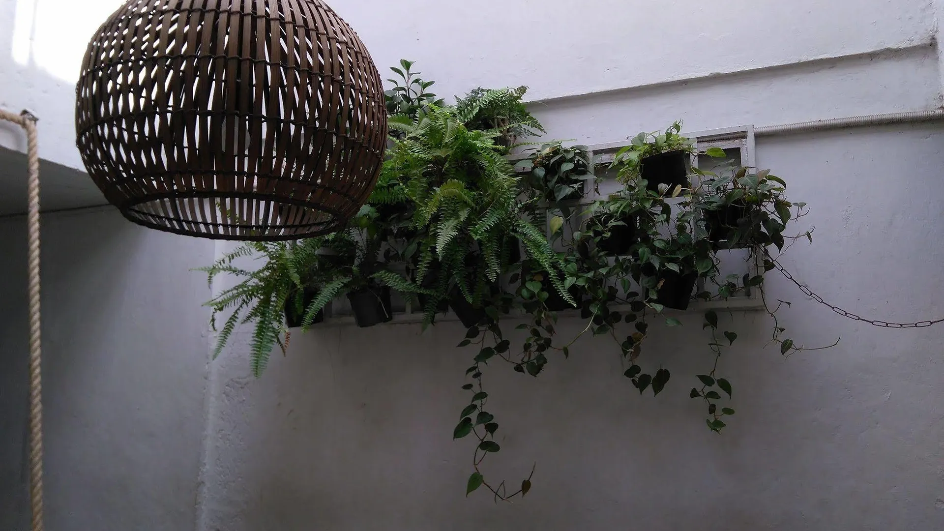 Coolto Art Lodge 麦德林